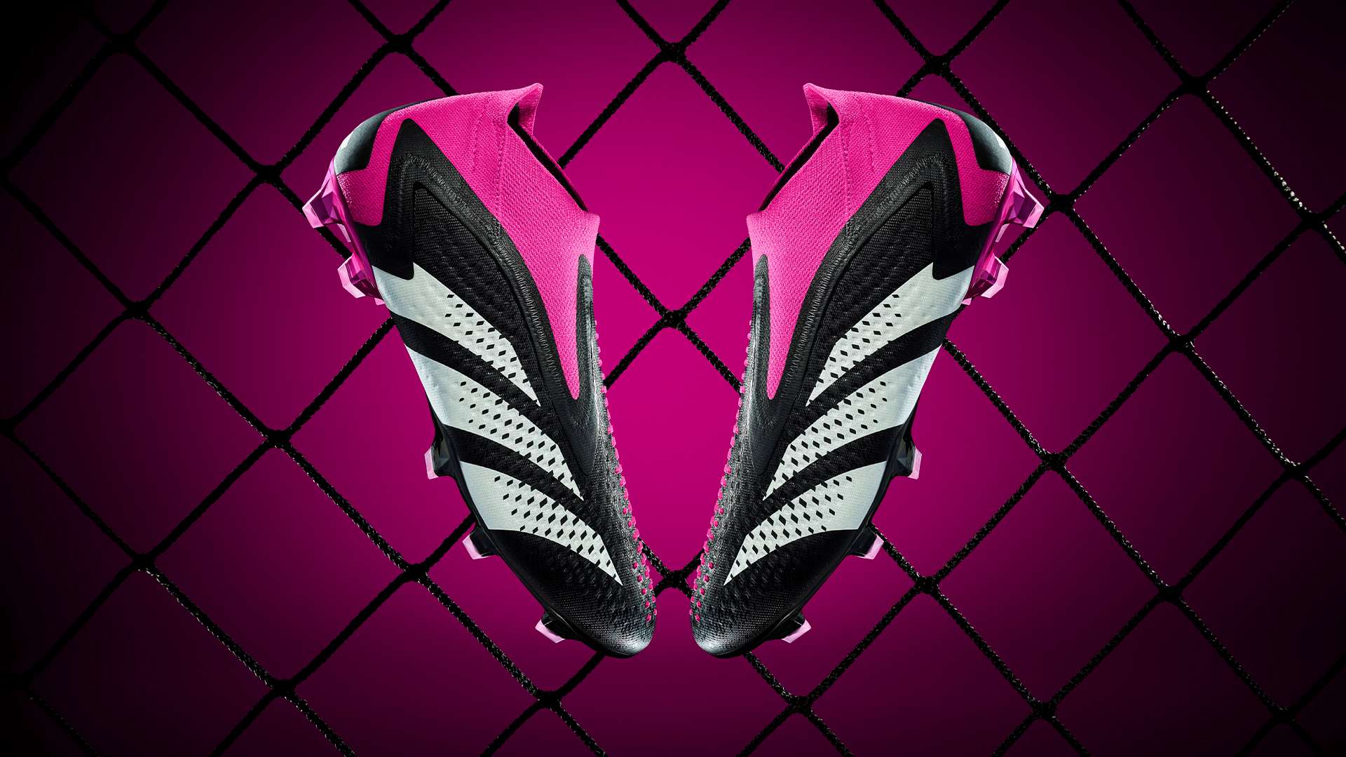 不论是胜者 不论是胜者