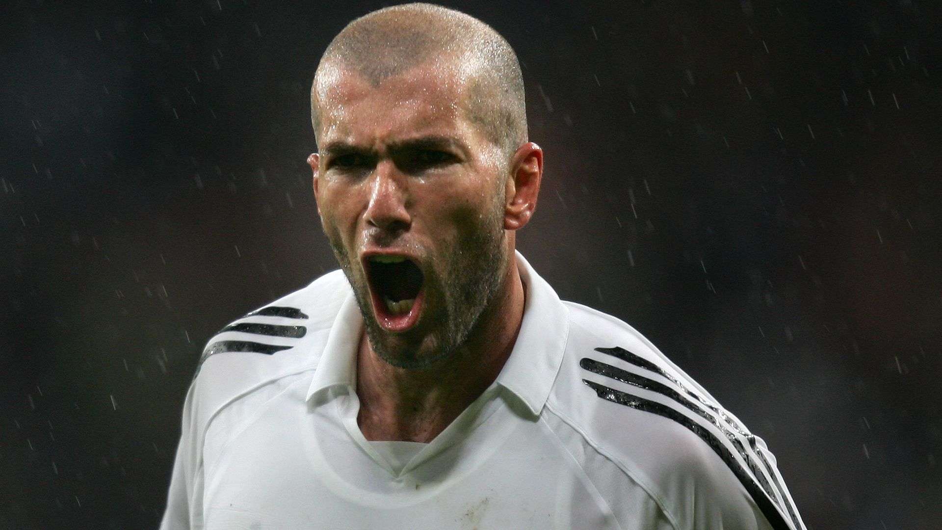 伴随着社会 伴随着社会